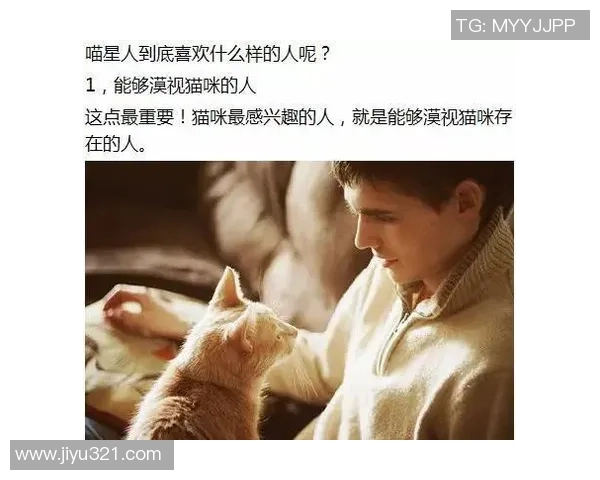 足球明星与猫的奇妙缘分揭秘哪位球星对猫情有独钟 足球明星与猫的奇妙缘分揭秘哪位球星对猫情有独钟